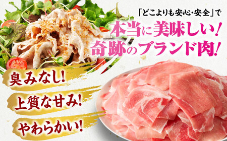 【冷凍】【独自基準で安心安全！4Xポーク】 豚肉 切り落としセット 1650g （ 肩 もも 550g×3パック）大洲市/株式会社SL Creations[AGCY001]豚肉豚肉豚肉豚肉豚肉豚肉豚肉