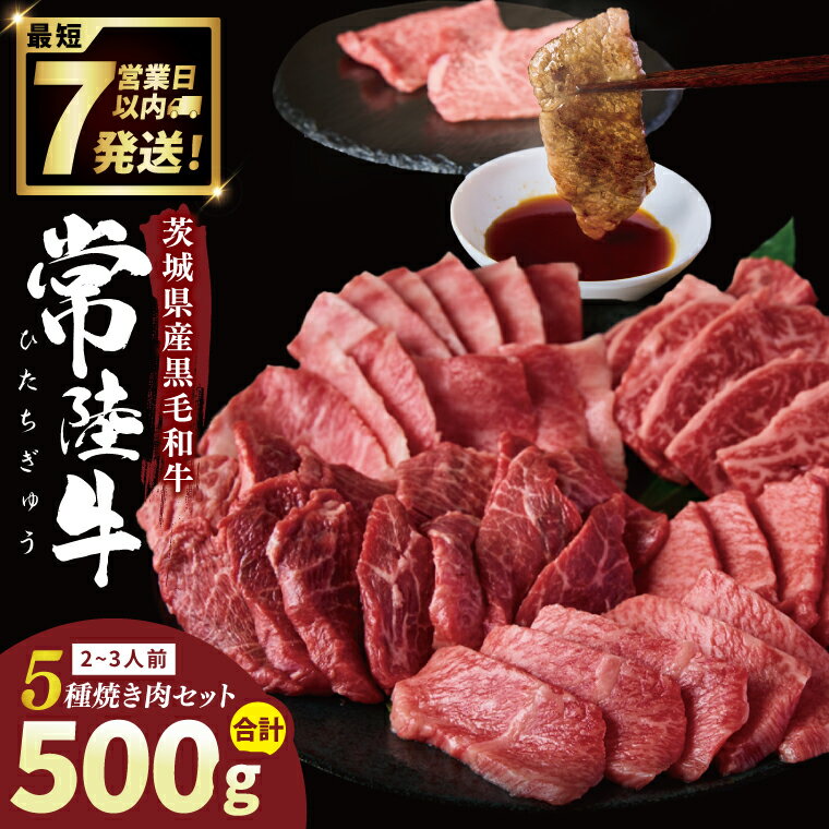 【ふるさと納税】【選べる内容量】常陸牛5種焼肉セット希少部位入り　(2~3人前 500g）（4~5人前1kg)【常陸牛 国産牛 和牛 牛肉 切り落とし 焼肉セット 希少部位 茨城県 水戸市】（NW-12）
