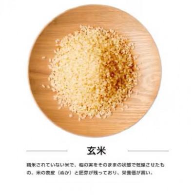 ふるさと納税 潟上市 【毎月定期便】秋田県産あきたこまち 30kg(玄米)　全12回 |  | 01