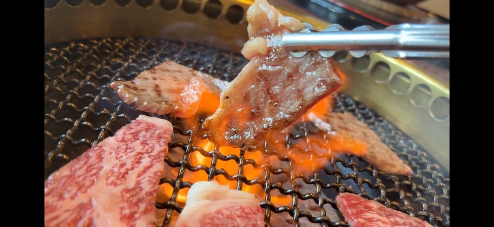 
                  鳥取黒毛和牛ロース焼肉用(380g)
                