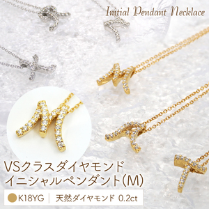 Ｋ18  ダイヤイニシャル ＰＮ ( M ) 管理番号20201007 221-001-M