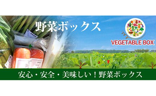 
20-06【3ヵ月連続お届け】阿見町産野菜ボックス（7～8品）
