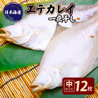 ふるさと納税 京丹後市 【店主一押し!絶品干物!高リピート!】エテカレイ一夜干し干物セット 中サイズ(朝食サイズ)12枚