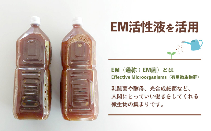 大宜味村産 アーウィン種マンゴー　家庭用1.5キロ フルーツ 果物 くだもの 果実 沖縄 大宜味村 食べ物 国産 南国 九州産 産地直送 家庭用 まんごー トロピカル 送料無料 甘味 スイーツ お取り