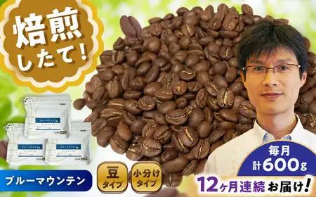 【全12回定期便】ブルーマウンテンNo.1　コーヒー豆　200g×3個 (豆)  / コーヒー  ドリップ  豆 / Coffee SAKURA[BBAB081]