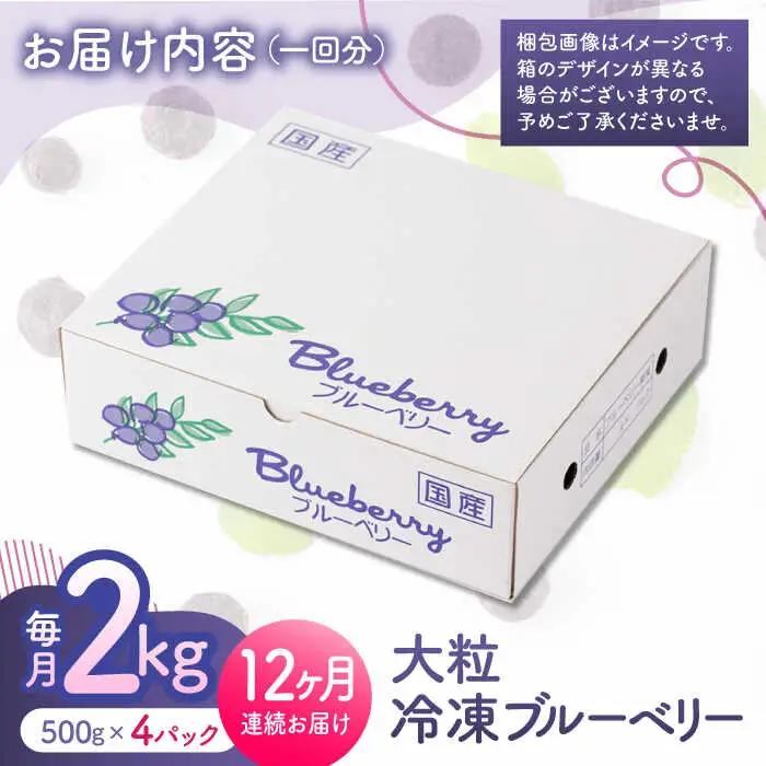 【12回定期便】大粒 冷凍ブルーベリー 約2000g（約500g×4pc）【すみれファーム】果物 フルーツ くだもの 大粒 小分け 熊本県産ブルーベリー [ZEP018]