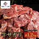 【ふるさと納税】【田村精肉店】牛サガリ（焼肉用）300g×4P／C 【配送不可地域：離島】 【 ふるさと納税 人気 ランキング おすすめ さがり サガリ 肉 牛肉 にく 牛 焼肉 牛サガリ 北海道 美幌町 送料無料 】 BHRJ019