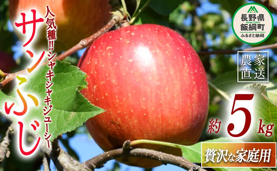
            りんご サンふじ 贅沢な 家庭用 5kg ( 11玉 〜 20玉 ) 庚申山荘ファーム 沖縄県への配送不可 2025年11月中旬頃から2025年12月上旬頃まで順次発送予定 令和7年度収穫分 信州 果物 フルーツ リンゴ 林檎 長野 17000円 予約 農家直送 長野県 飯綱町 [1477]
          