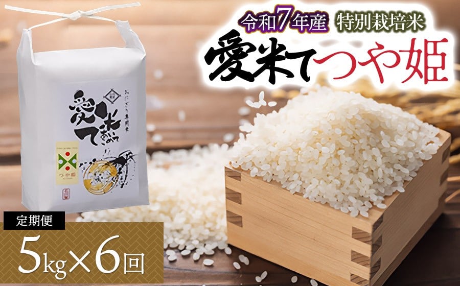 
                  【令和7年産】【6ヶ月定期便】特別栽培米 つや姫　5kg×6ヶ月　山形県鶴岡市産　愛米て
                