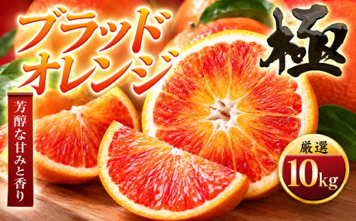 ＜太陽をたっぷり浴びた＞ブラッドオレンジ(タロッコ)＜極＞10kg＜H49-89＞【1621801】 YWTZ074