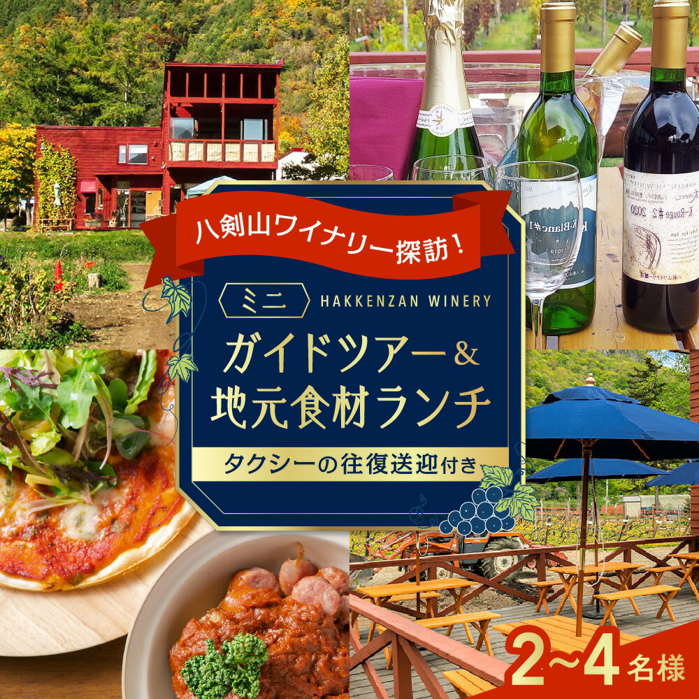 【ふるさと納税】 札幌 八剣山ワイナリー ミニガイドツアー 地元食材 ランチ 2～4名様 ワイン 試飲 探訪 八剣山キッチン ツアー券 ガイド付き 散策 観光 旅行 体験 チケット 利用券 北海道 札幌市