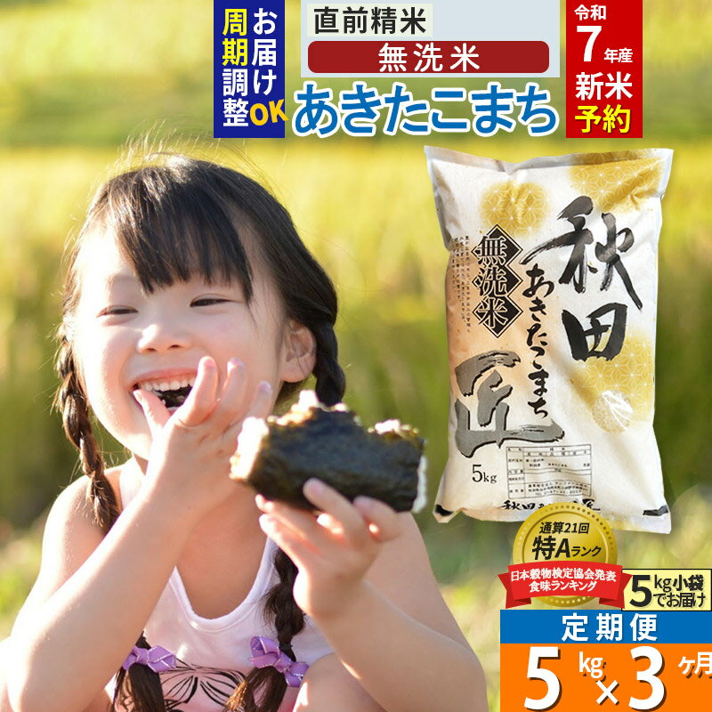 【ふるさと納税】【無洗米】※R7新米予約※《定期便3ヶ月》秋田県産 あきたこまち 5kg (5kg×1袋) ×3回 令和7年産 周期調整OK 隔月配送OK お米 新米