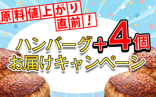 
            【11月17日迄限定20個+4個】黒毛和牛入り 牛肉100％ 120g×24個 肉汁溢れる ハンバーグ /関連キーワード 牛肉100%  冷凍 湯煎  湯せん 冷凍 1万円  こんがりふっくらハンバーグ ハンバーグ  /  牛 20こ 20枚 豪州産 黒毛和牛入り 国産牛肉 ボイル  国産人気 3kg 3キロ 佐賀 工場 中元 /
          