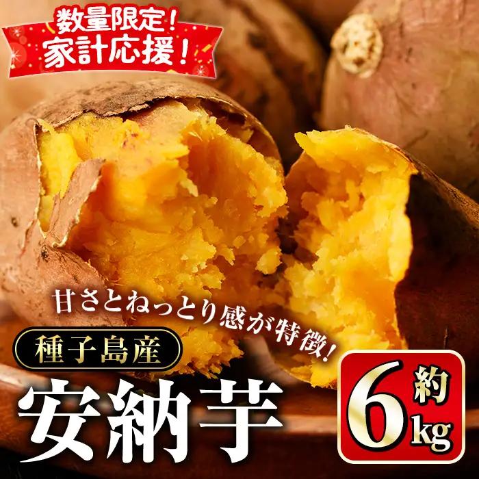 安納芋 さつまいも 6kg 生活 家計 応援 【種子島安納大地】n223-z