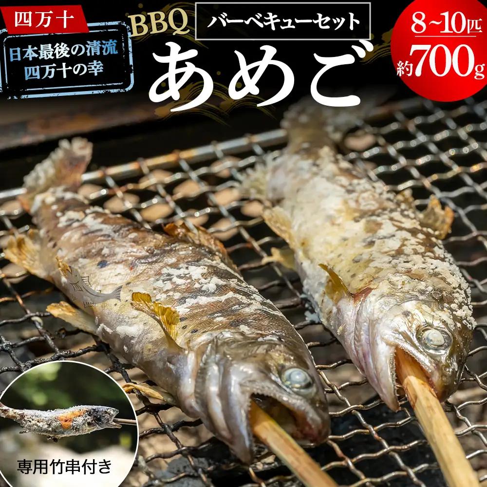 子どもが喜ぶバーベキュー！清流育ちの四万十あめご（約700g）【BBQ専用竹串付き】 おつまみ バーベキュー BBQ アウトドア アメゴ 魚 魚介 川魚 塩焼き 小分け  冷凍 8～10匹  個包装 ／Eay-01