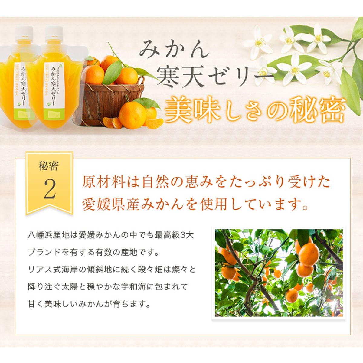 ＜5種の味わい食べ比べ寒天ゼリー＞ 『1か月以内に順次出荷予定』ミヤモトオレンジガーデン 愛媛県 西予市