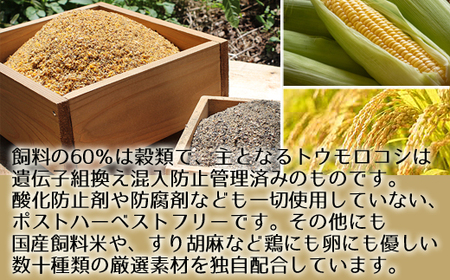 【11ヶ月定期便】《かながわブランド認定》平飼い有精卵さがみっこ 30個×11か月 | 平飼い ケージフリー 卵 有精卵 鶏卵 玉子 たまご 生卵 国産 濃厚 コク 旨味 ※離島への配送不可
