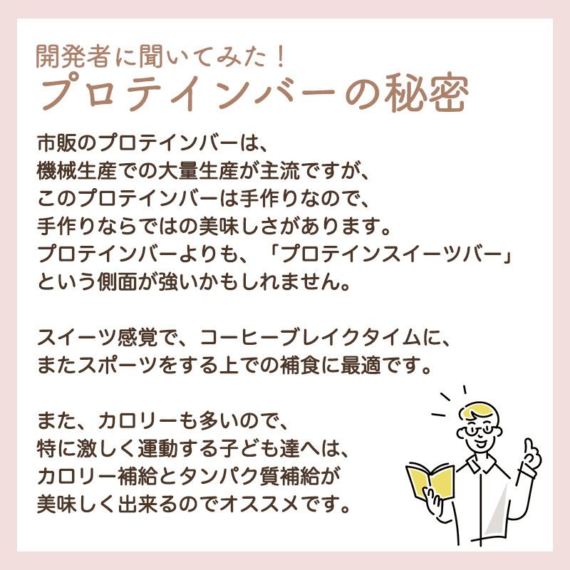 【定期便｜１２カ月連続】プロテインバー ストロベリー味（2本入り×12袋）×12カ月【18125】