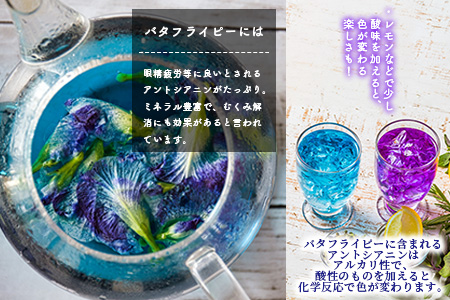 【先行受付】希少！採れたて新鮮！八重咲バタフライピーの生花（食用花、生ハーブ）特別栽培、栽培期間中農薬不使用 ３月～順次発送 OI-8
