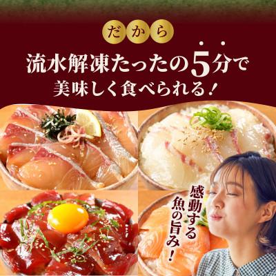 ふるさと納税 延岡市 日向灘カンパチ・日向灘真鯛・近海マグロ・生サーモンの海鮮丼/4種食べ比べセット(8パック入り) |  | 02