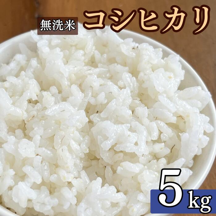 【ふるさと納税】 米 5kg 令和7年産 こしひかり 無洗米 米 こめ コメ 新潟県 産 おすすめ オススメ コウタロウ農園
