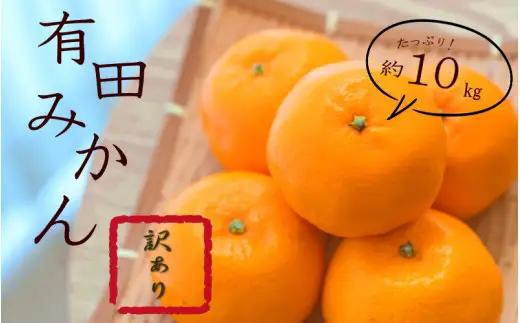 紀州 有田 みかん 10kg 訳あり サイズ混合 / 温州みかん 有田みかん 甘い キズ 和歌山 柑橘 ※2026年11月下旬～2027年1月中旬頃順次発送予定 ※北海道・沖縄・離島への配送不可【sml004-c-10A】 