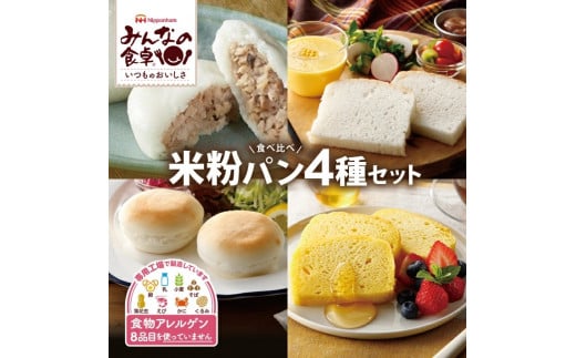 東北日本ハム《みんなの食卓》 米粉パン4種セット　計4袋(4種類×各1袋)【冷凍便】 SA2340