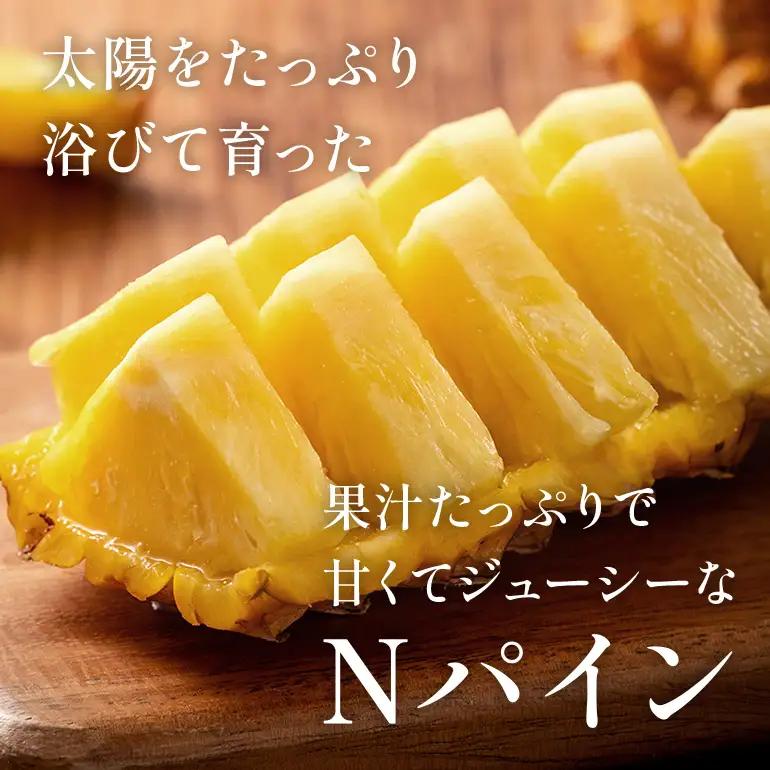 Nパイン2玉　自然の恵み詰まったパイナップル 172-2