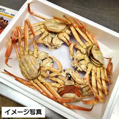 ふるさと納税 新温泉町 松葉ガニの本場　訳あり・釜茹でセコガニ(冷蔵)大サイズ　5枚　兵庫県新温泉町　 |  | 03
