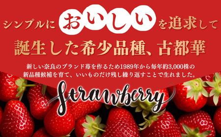 平群の古都華 2L ～ 3L サイズ （2パック×1ケース）1月発送 | 果物 くだもの フルーツ 苺 イチゴ いちご ストロベリー 古都華 ことか 旬の品種 産地直送 奈良県 平群町