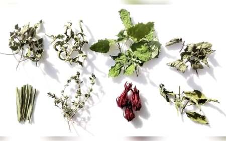 【 ディープリラックス 】 山梨のっぷい産ご褒美ハーブティー ティーバッグ 3包 ハーブティー ハーブ お茶 国産 山梨県産 ティーバッグ