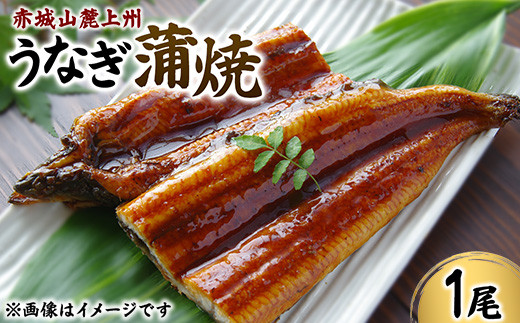 赤城山麓上州うなぎ　蒲焼　１尾　（150ｇ以上）