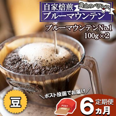 ふるさと納税 小郡市 【6ヵ月定期便】ブルーマウンテン・ストレート(豆)【ポスト投函】[No5354-2072]