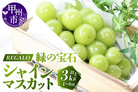 頬張る幸福感 ～緑の宝石・シャインマスカット～ 3.0kg以上（4～6房）【2025年発送】（RG）D-840【シャインマスカット 葡萄 ぶどう ブドウ 令和7年発送 期間限定 山梨県産 甲州市 フルーツ 果物】