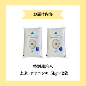 【令和7年産】栽培期間中 農薬・化学肥料不使用 【玄米】 特別栽培米ササニシキ5kg×2