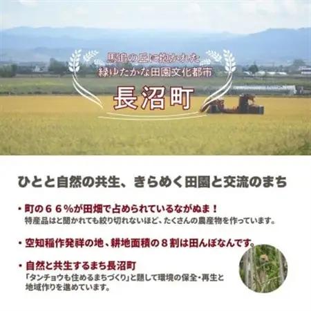 【令和7年産・無洗米・真空パック】長沼町産ゆめぴりか 2kg×3袋【1711210】