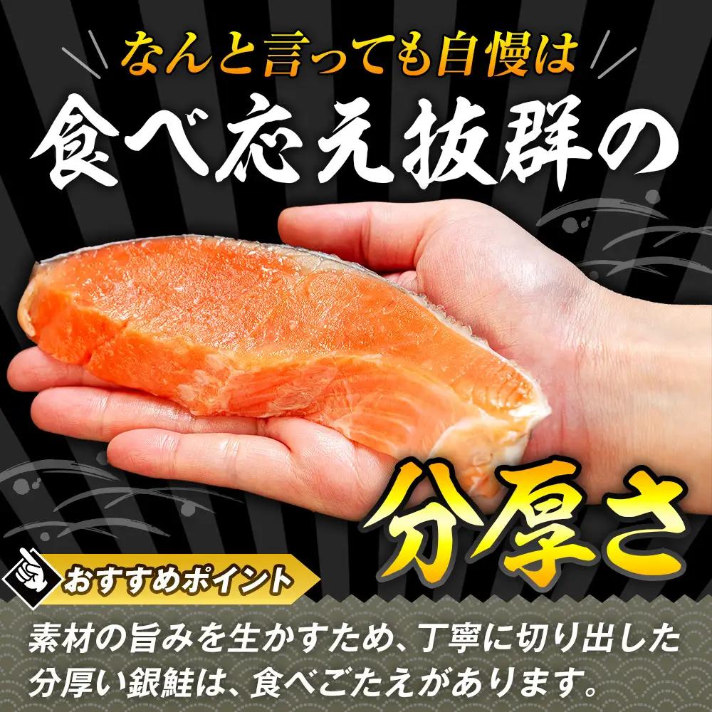 塩銀鮭（甘口） 900g（10~12切れ） | 銀鮭 塩鮭 さけ しゃけ サーモン 海鮮 切身 厚切り 魚介類 冷凍 パック おかず 和食 洋食 朝食 送料無料
