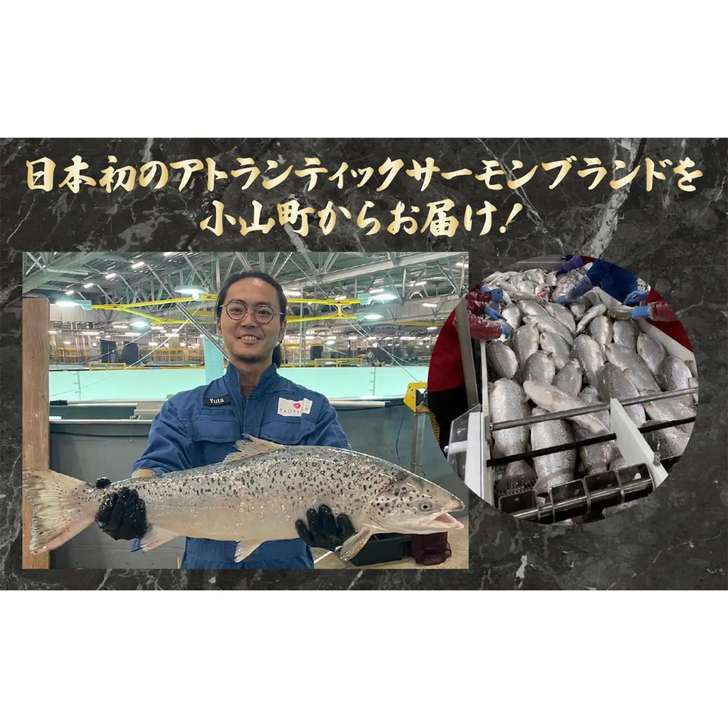 グラブラックス 約100g×4P サーモン 冷凍 サーモン