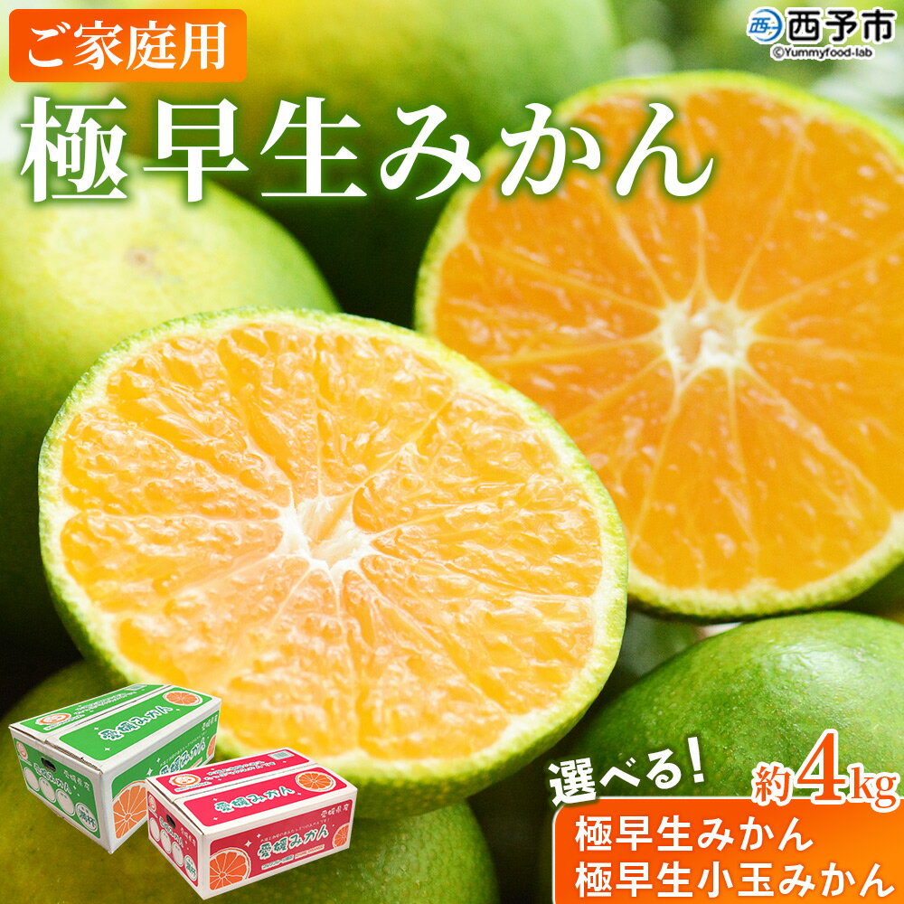 【ふるさと納税】＜極早生みかん / 極早生小玉みかん ご家庭用 約4kg＞ ご家庭用 果物 フルーツ みかん ミカン 蜜柑 4キロ オレンジ 柑橘 食べて応援 特産品 宇都宮物産 愛媛県 西予市 【常温】『2025年9月下旬～10月中旬迄に順次出荷予定』