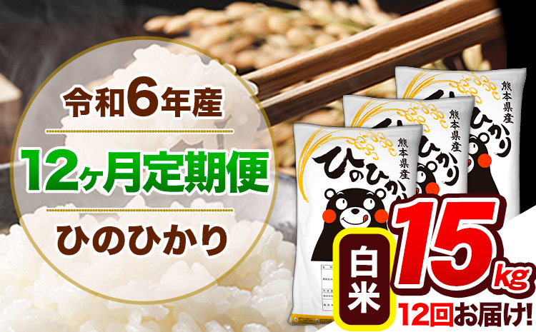 【12ヶ月定期便】令和6年産 定期便 ひのひかり 15kg 《申込み翌月から発送》令和6年産 熊本県産 ふるさと納税 白米 精米 ひの 米 こめ ふるさとのうぜい ヒノヒカリ コメ 熊本米 ひのもり