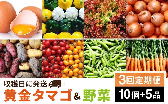 
                  【全3回定期便】糸島の朝産み黄金タマゴ10個 朝どれ新鮮野菜5品 セット【福岡県糸島産】 糸島市 / オーガニックナガミツファーム 玉子 やさい 	[AGE047]
                