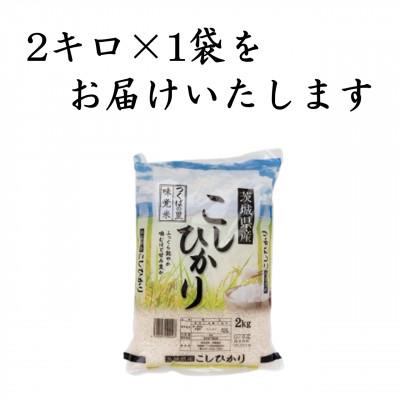 ふるさと納税 つくばみらい市 令和7年産 茨城県産 お米 こしひかり 2kg　(2kg×1袋)  精米 |  | 01