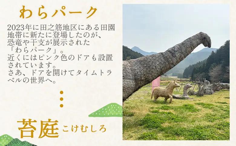 ＜ジオをまるごと楽しむE-BIKEライドツアー 宇和盆地編 （参加人数2名）＞ サイクリング 体験 ツアー 自転車ツアー アウトドア ガイド付き 観光 地域観光 絶景サイクリング Eバイク グルメ ラ