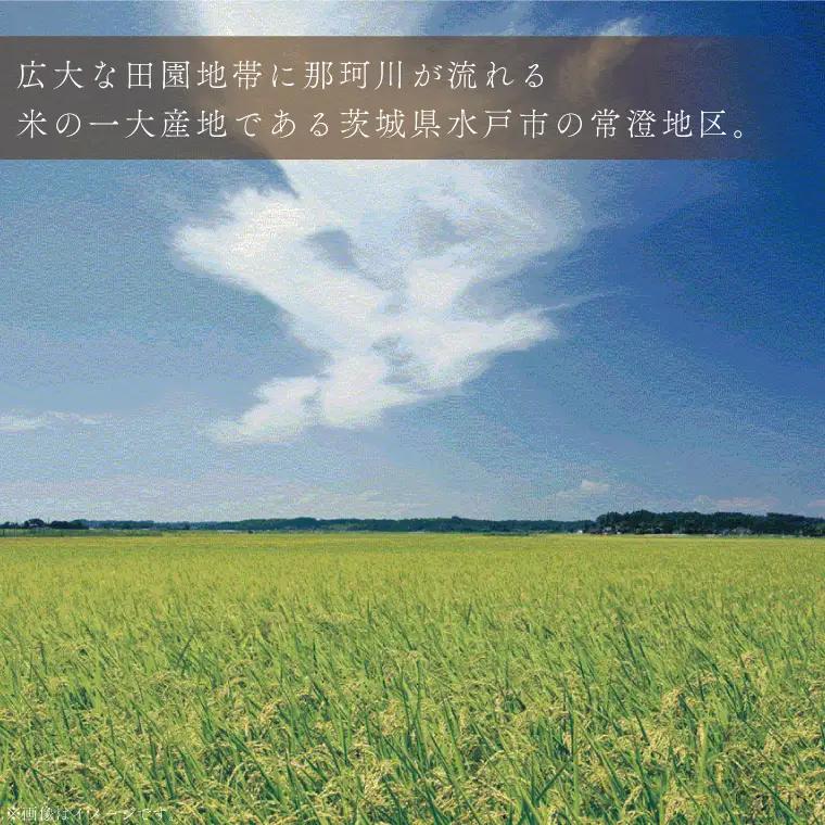 常澄産コシヒカリ100％米粉麵「穂々の空」（FC-2）