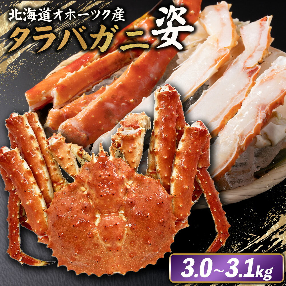 【ふるさと納税】北海道オホーツク産 冷タラバガニ姿　3.0～3.1kg | 北海道産 オホーツク産 オホーツク オホーツク産 オホーツク海産 タラバガニ タラバ カニ かに 蟹 冷凍 ギフト 贈り物 お取り寄せ 北海道 雄武町 雄武【12421】
