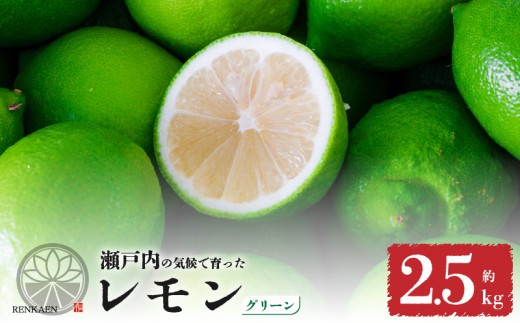 【先行予約】 【グリーンレモン】 【 9月から発送】 家庭用 グリーンレモン 約2.5kg 防腐剤 ワックス 不使用｜ 訳あり レモン 檸檬 完熟 柑橘 酸味 国産 愛媛県産 訳あり 新鮮 愛媛 松山