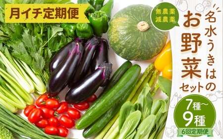 【月イチ定期便】UIC 名水うきは 旬の滋味（じみ）野菜セット (ひと月1箱×半年間=計6回)