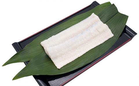 大分県産活じめ鱧（はも）1本物 骨切り切身 たっぷり 1500g＜108-007_5＞