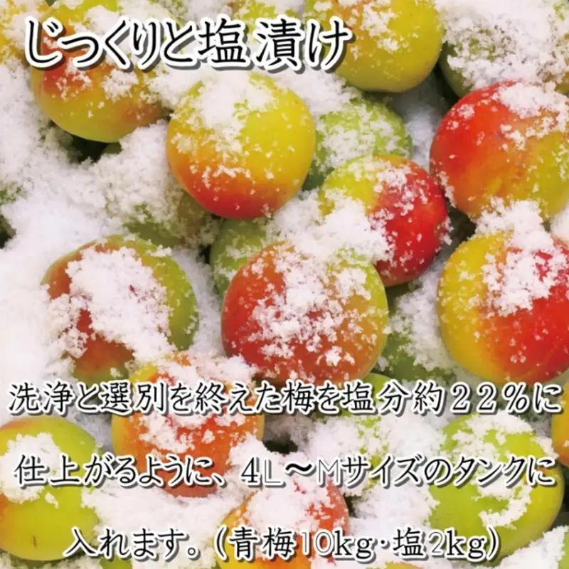 梅干し　こんぶ風味梅干1kg　塩分約8%【和歌山産】印南町