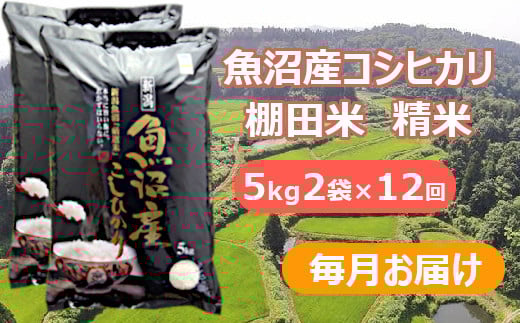 【先行予約】【令和7年産 新米】【12か月定期便(毎月全12回)】魚沼産コシヒカリ棚田米 白米10kg(5kg×2袋)×12回 (毎月お届け) ※2025年9月下旬以降より順次発送予定 佐藤農場 【0018-0005DB00-01】